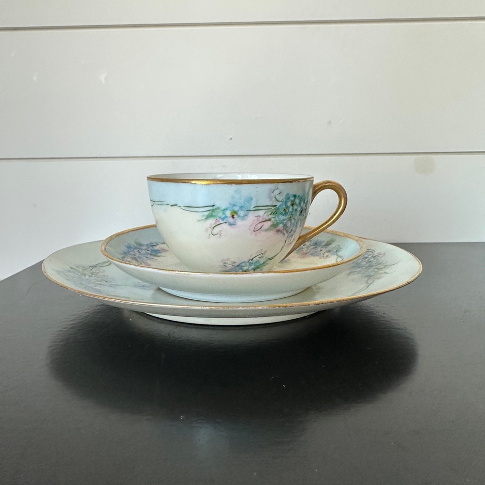 Noritake Hand Painted made in Japan tea cup, saucer and plate.